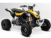 BRP Can-am(Ӱ͵)DS 450 X MX